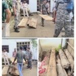 घर की तलाशी में 38 नग सागौन एवं अन्य प्रजाति के चिरान एवं 0.341 घनमीटर लट्ठे बरामद किया गया